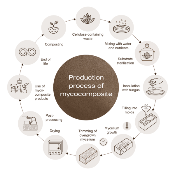 process_of_mycocomposite-600x600