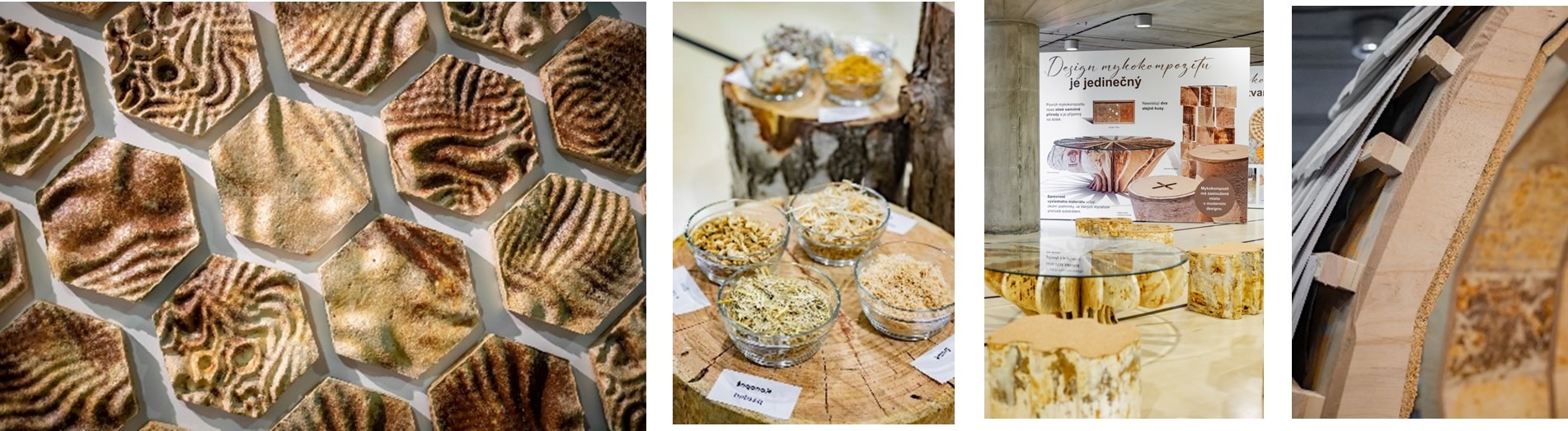 samorost-vystava-do-hloubi-houby