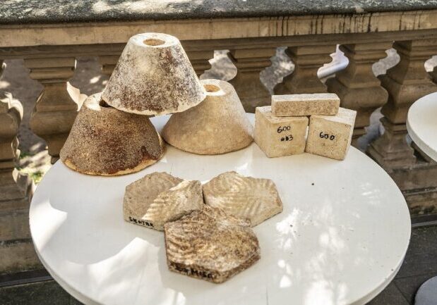 idnes_Mycelium-650x433
