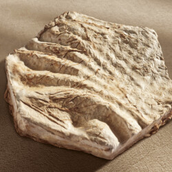 Akustický panel z mykokompozitu