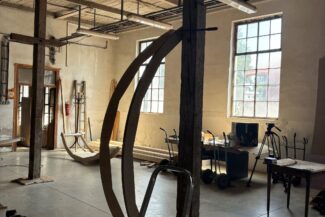 Dům Samorost - dřevěná žebra