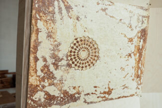 Dům Samorost - myceliová deska