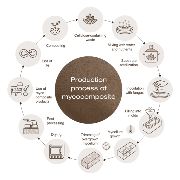Process of mycocomposite